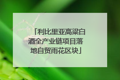 利比里亚高粱白酒全产业链项目落地自贸雨花区块