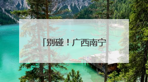 别碰！广西南宁雨后路边出现大量非洲大蜗牛和福寿螺！有致命危害