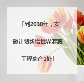 到2030年，安徽计划新增世界灌溉工程遗产1处