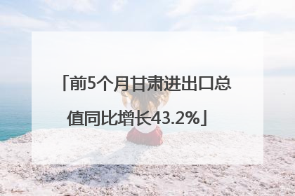 前5个月甘肃进出口总值同比增长43.2%