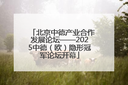 北京中德产业合作发展论坛——2025中德（欧）隐形冠军论坛开幕
