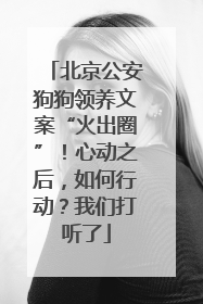 北京公安狗狗领养文案“火出圈”！心动之后，如何行动？我们打听了