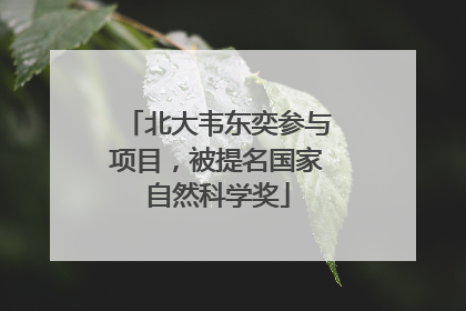 北大韦东奕参与项目，被提名国家自然科学奖
