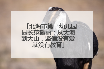 北海市第一幼儿园园长范徽丽：从大海到大山，坚信没有爱就没有教育