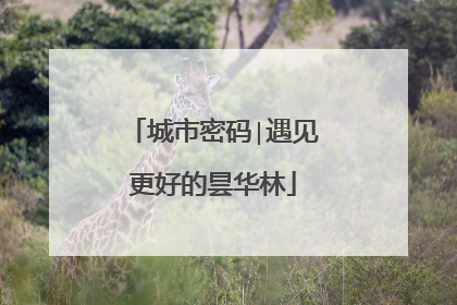 城市密码∣遇见更好的昙华林