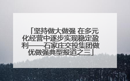 坚持做大做强 在多元化经营中逐步实现稳定盈利——石家庄交投集团做优做强典型报道之三