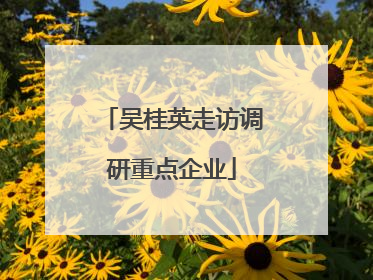 吴桂英走访调研重点企业