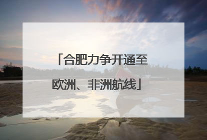 合肥力争开通至欧洲、非洲航线