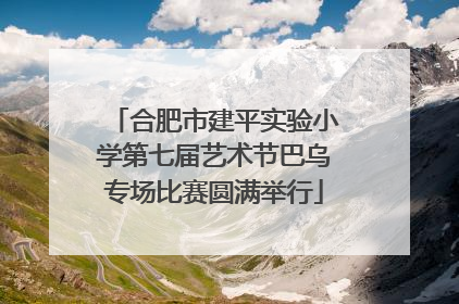 合肥市建平实验小学第七届艺术节巴乌专场比赛圆满举行
