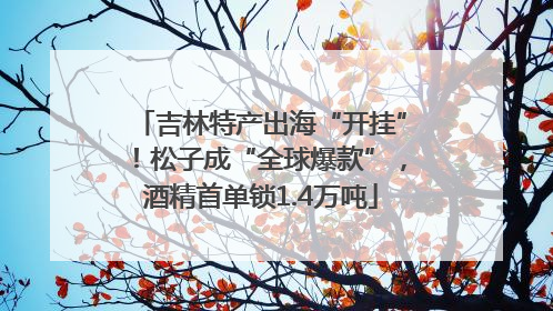 吉林特产出海“开挂”！松子成“全球爆款”，酒精首单锁1.4万吨