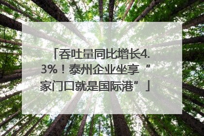 吞吐量同比增长4.3%！泰州企业坐享“家门口就是国际港”