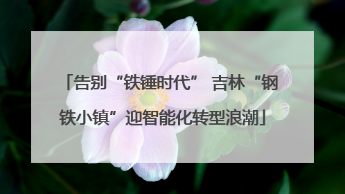 告别“铁锤时代” 吉林“钢铁小镇”迎智能化转型浪潮