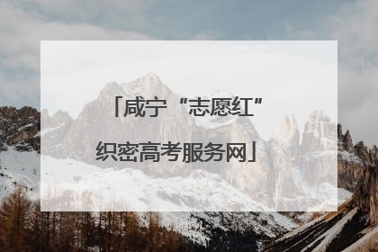 咸宁“志愿红”织密高考服务网