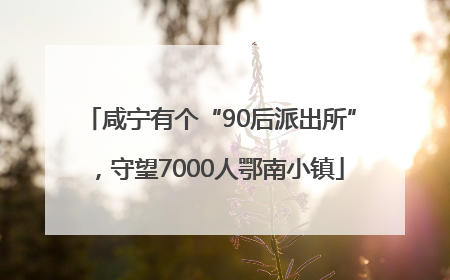 咸宁有个“90后派出所”，守望7000人鄂南小镇