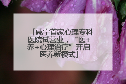 咸宁首家心理专科医院试营业，“医+养+心理治疗”开启医养新模式