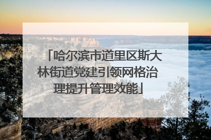 哈尔滨市道里区斯大林街道党建引领网格治理提升管理效能