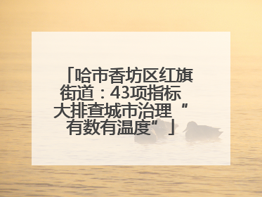 哈市香坊区红旗街道：43项指标大排查城市治理“有数有温度”