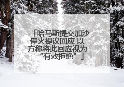 哈马斯提交加沙停火提议回应 以方称将此回应视为“有效拒绝”