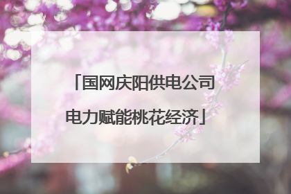 国网庆阳供电公司电力赋能桃花经济
