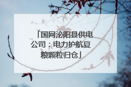 国网泌阳县供电公司：电力护航夏粮颗粒归仓