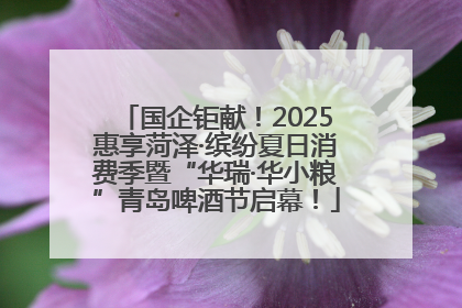 国企钜献！2025惠享菏泽·缤纷夏日消费季暨“华瑞·华小粮”青岛啤酒节启幕！