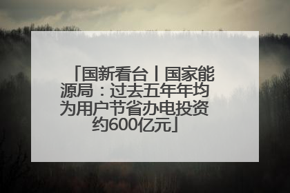 国新看台丨国家能源局：过去五年年均为用户节省办电投资约600亿元