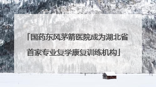 国药东风茅箭医院成为湖北省首家专业复学康复训练机构