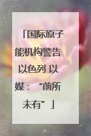 国际原子能机构警告以色列 以媒：“前所未有”