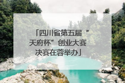 四川省第五届“天府杯”创业大赛决赛在蓉举办