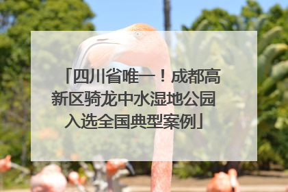四川省唯一！成都高新区骑龙中水湿地公园入选全国典型案例