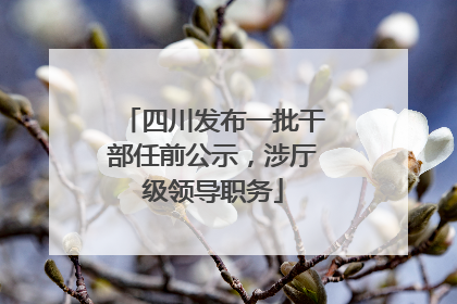 四川发布一批干部任前公示，涉厅级领导职务