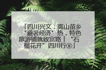 四川兴文：高山苗乡“避暑经济”热，特色旅游铺就致富路丨“石榴花开”四川行⑧