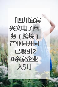 四川宜宾兴文电子商务（跨境）产业园开园 已吸引20余家企业入驻
