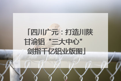 四川广元：打造川陕甘渝铝“三大中心” 剑指千亿铝业版图