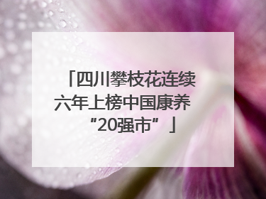 四川攀枝花连续六年上榜中国康养“20强市”
