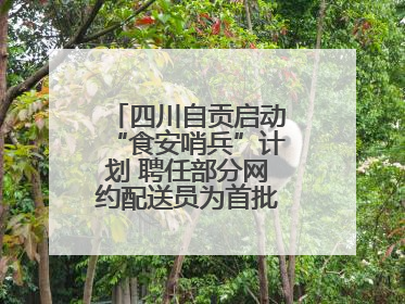 四川自贡启动“食安哨兵”计划 聘任部分网约配送员为首批“食安哨兵”