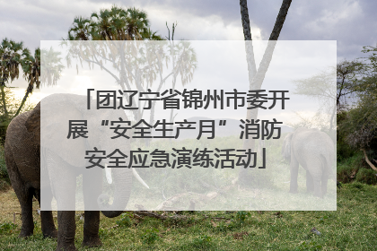 团辽宁省锦州市委开展“安全生产月”消防安全应急演练活动