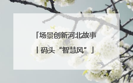 场景创新河北故事丨码头“智慧风”