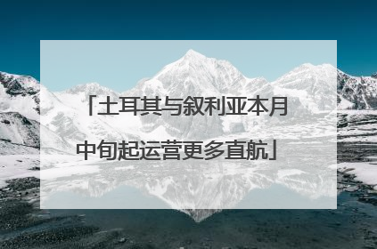 土耳其与叙利亚本月中旬起运营更多直航