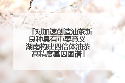 对加速创造油茶新良种具有重要意义 湖南构建四倍体油茶高精度基因图谱