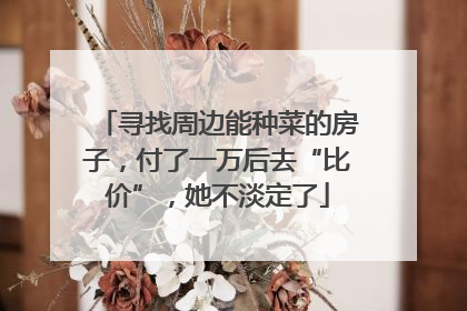 寻找周边能种菜的房子，付了一万后去“比价”，她不淡定了