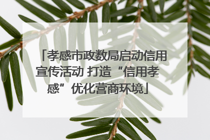 孝感市政数局启动信用宣传活动 打造“信用孝感”优化营商环境