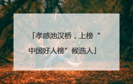 孝感池汉桥，上榜“中国好人榜”候选人