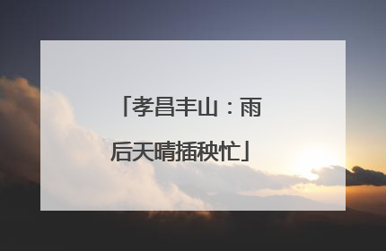 孝昌丰山：雨后天晴插秧忙