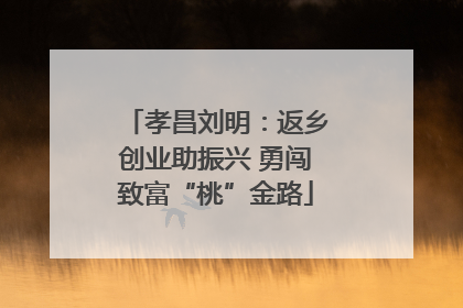 孝昌刘明：返乡创业助振兴 勇闯致富“桃”金路