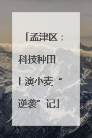 孟津区：科技种田 上演小麦“逆袭”记