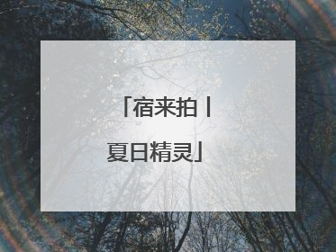 宿来拍丨夏日精灵