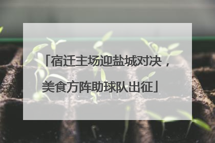 宿迁主场迎盐城对决，美食方阵助球队出征