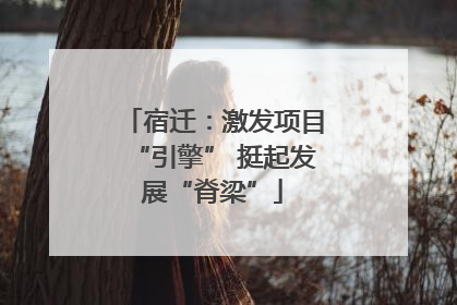 宿迁：激发项目“引擎” 挺起发展“脊梁”