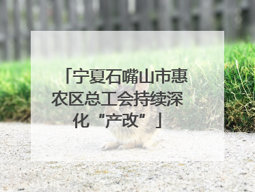 宁夏石嘴山市惠农区总工会持续深化“产改”